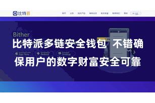比特派多链安全钱包  不错确保用户的数字财富安全可靠